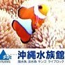 沖縄県那覇市のアクアリウム専門店です🐡 今年で創業30年 淡水魚、海水魚、サンゴ、水草、アクア用品など豊富に取り揃えております 入荷情報やセール情報など お得な情報を配信予定です