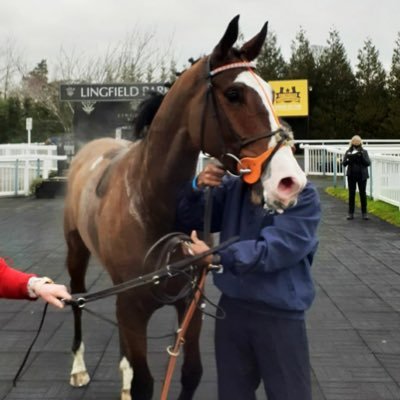 Leeds United, Wire & racing fan living in Warrington. Part owner of LONGSIDER & Crossing Lines via MPR.