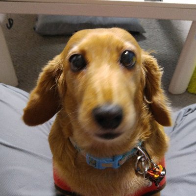 KumaJun2468's profile picture. 