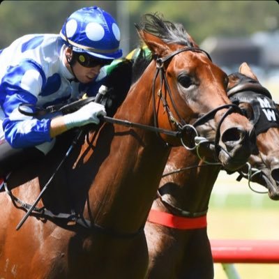 Jockey | Victoria Based