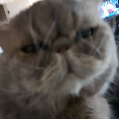 Zachary21988376's profile picture. 
