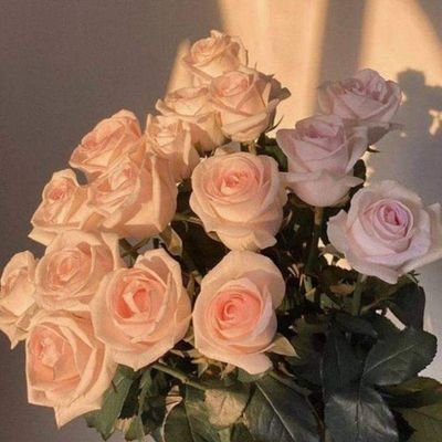 nadi_kyi's profile picture. 