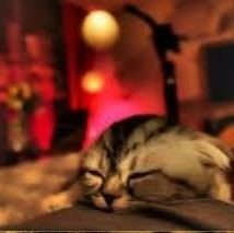 utilityplayer37's profile picture. 🌜