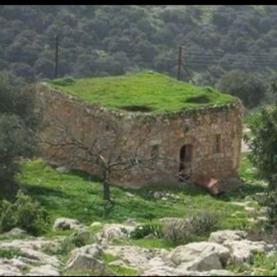 soran00381726's profile picture. متابع السیاسی