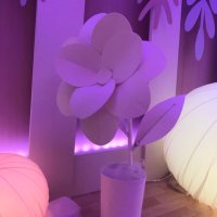 mumu201912 (@mumu201912) Twitter profile photo