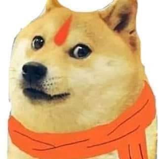 IndianDoge Profile Picture