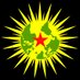 Internationalist Commune of Rojava Profile picture