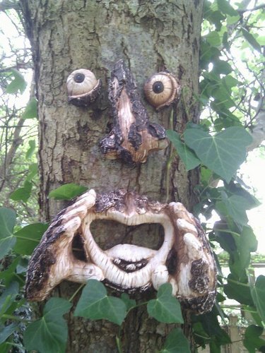 MrTree's profile picture. CTO at @Cognisess