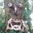 MrTree's profile image