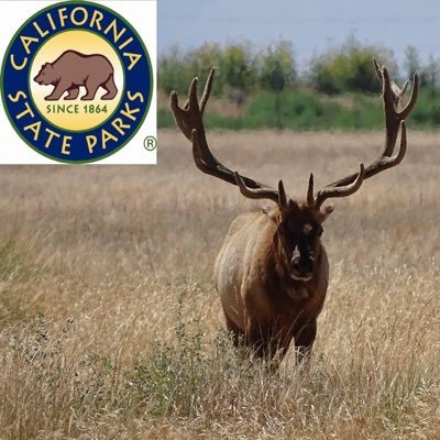 This is the official Twitter platform of the Tule Elk State Natural Reserve. This is not a public forum. The Tule Elk SNR was established in 1932.