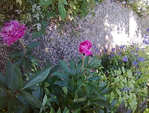 Brunology1's profile picture. Artist, Stage Designer, Graphic Designer. Like funny men