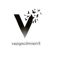 vazgecilmisin1i(@vazgecilmisin1i) 's Twitter Profile Photo