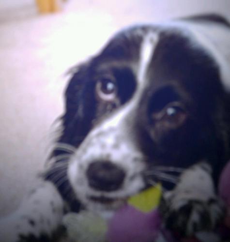 MrsMWallace's profile picture. 