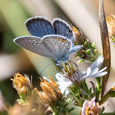 JAllenPhotogra1's profile picture. Just your average person, with a camera and a whole lotta stuff to point it at  :)