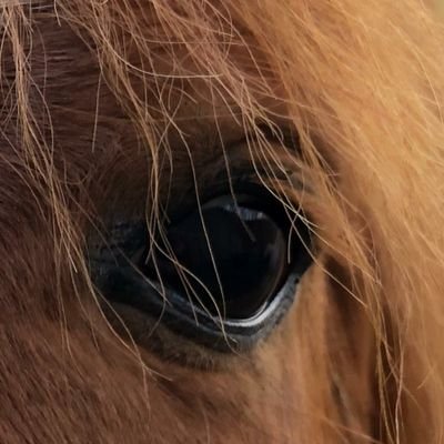 Liebe das Leben, bin hier zum lesen, ein bisschen texten, neue Leute kennen zu lernen.
Marie liebt@marieliebt.bsky.social
Marie@marieliebt@ https://t.co/n6mCUX4hZk
