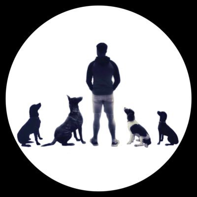 MrChrisMc's profile picture. Dogs 🐶 • Photography 📷 • Dog Handler and Instructor 🐾
