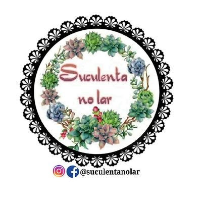 suculentanolar's profile picture. Peças Artesanais de cimento🌵
E designer em Biscuit❤
Pedidos via direct