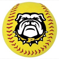 Priceville Softball (@pricevillesb) 's Twitter Profile