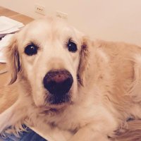 Tony Zeng (@tkyzeng) 's Twitter Profile Photo