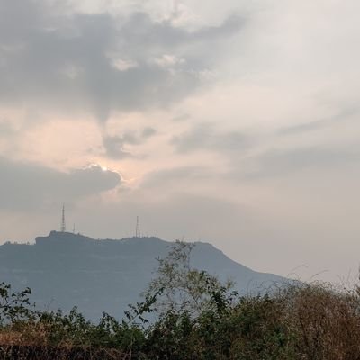 shwethali's profile picture. 