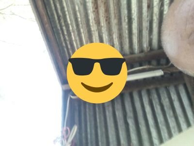 KqS9hbebrC7uqG0's profile picture. 