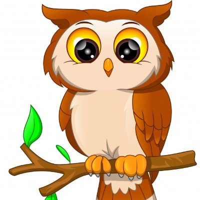 gates_owls Profile Picture