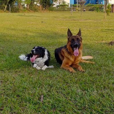 xzaitler's profile picture. 