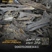 عود بخود دقة ماليزي بورمي بروناي (@adeeb76ra) 's Twitter Profile