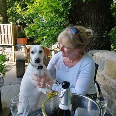 Committed, sometimes frazzled, wife, mum, nana, sister, friend. Loves travel, animals, flowers, tennis, exercise, new challenges..