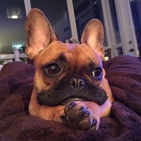 Hoochman (@hoochman14922) 's Twitter Profile