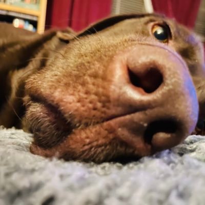 sa_brittkhs's profile picture. 