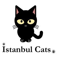 IstanbulCats(@Istanbul__Cats) 's Twitter Profile Photo