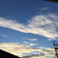 蓼 (@tade_km1016) 's Twitter Profile Photo