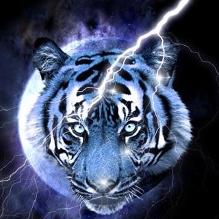 bioniclekid9's profile picture. 