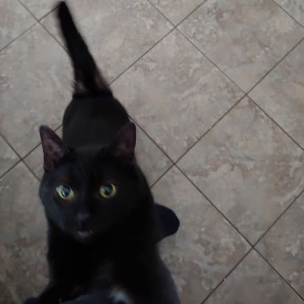 dagnamit4's profile picture. 