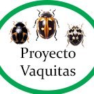 Proyecto de #CienciaCiudadana para registrar vaquitas de San Antonio (Coleoptera: Coccinellidae) en Argentina. 2020 @InsideNatGeo Explorer @IPBES