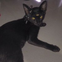 princess | acab | blm (@wormsbabys) 's Twitter Profile