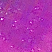 semidecentday's profile picture. 🇸🇻