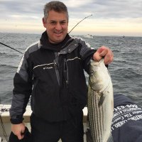 Douglas Tortorelli (@douglastortore2) 's Twitter Profile