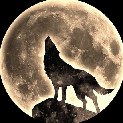 gabeduv's profile picture. 🎥 Fanático del cine y las series de comedia. Siempre buscando nuevas historias que me hagan reír y pasar un buen rato. 🍿