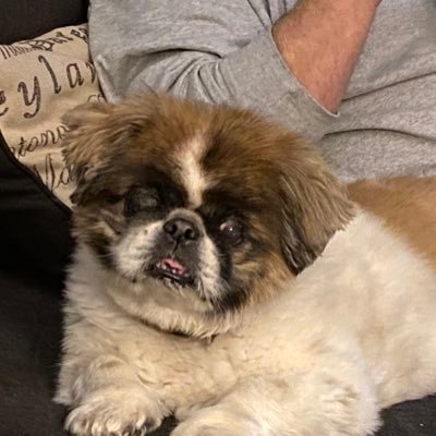 lizanne6988's profile picture. CCMA, Direct Sales/Entrepreneur with Neora: skincare & wellness, Haircare, Weight Management Mom, wife, w/ 2 puppies.