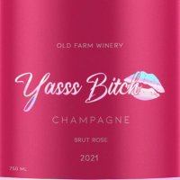 Yasss Bitch Champagne(@yasssbitchwine) 's Twitter Profile Photo