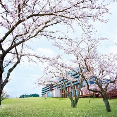 日本平ホテル スポーツ 採用 Npd0000 Twitter 日本平ホテル スポーツ 採用 Npd0000 Twitter
