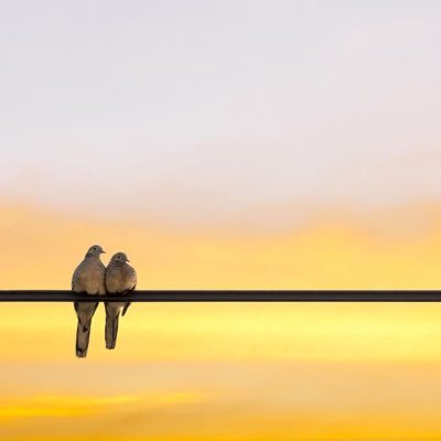 bintharun_'s profile picture. ﷺ