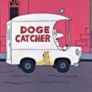 Doge Catcher