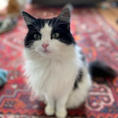 KEG_65's profile picture.