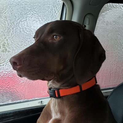 Spoonerism54's profile picture. 