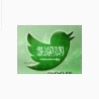 ذيب تويتر (@asoooooay) 's Twitter Profile