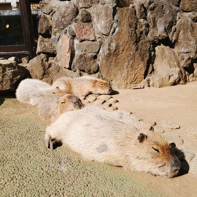 日々の日常生活で感じたことをつぶやいていきます❗お付き合いください🤗