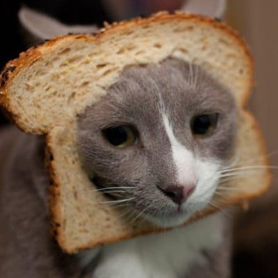 garlicさんのプロフィール画像